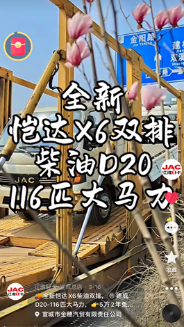 全新愷達(dá)X6柴油雙排，德威D20-116匹大馬力。